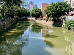 -晓港公园