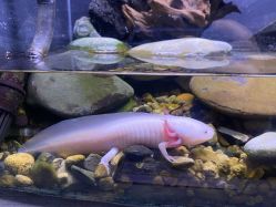 -Zoolung Zoolung动物主题公园(海信广场店)