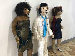 -济州岛泰迪熊博物馆