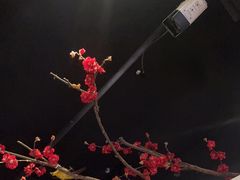 -春天来了(印象新天地店)