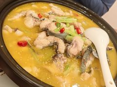 -鲁宴·鲁煨黄河生态大鲤鱼(月坛店)