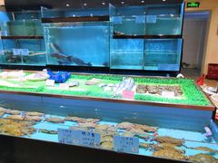 水产区-海江5号