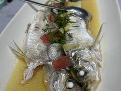 -农乐园食府(梅城镇店)
