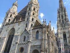 -斯蒂芬主教座堂(Stephansdom)