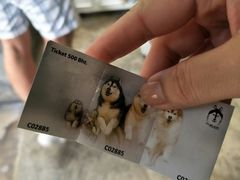 -TrueLove @ Neverland (Husky Cafe)
