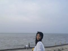 -洋山深水港