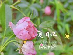 -后襄河公园