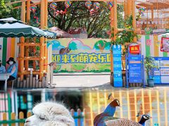 -南湖梦幻岛