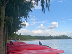 -上海海湾国家森林公园