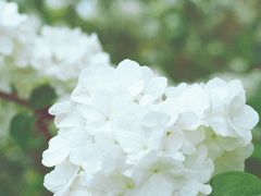 -上海滨江森林公园