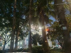 -上海第一八佰伴