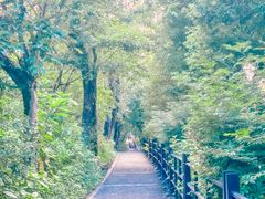 -广州市白云山风景名胜区