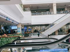 -上海市东方医院(总院)