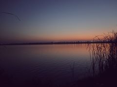 -金沙湖旅游度假区