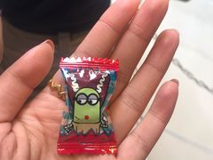 -飞天翼龙