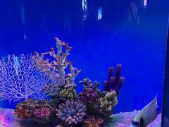 -上海海昌海洋公园