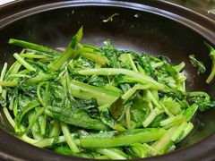 砂锅炒青菜-锦绣金山人家(友谊店)