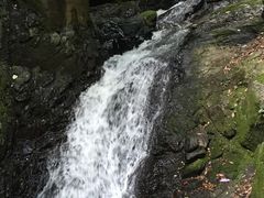 -藏龙百瀑风景区