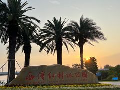 -宝安西湾红树林湿地公园