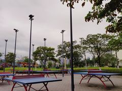 -珠海横琴国际网球中心