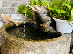 -十六中酱肉·烧烤·京菜小馆(五方桥旗舰店)