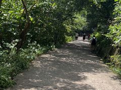 -紫金山山顶公园
