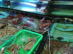 -御满江海鲜酒家(洛溪新城店)
