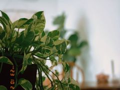 -AHAVA·Fang Baking Studio