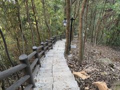 -午潮山国家森林公园
