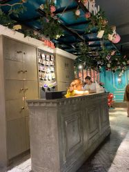 点击看大图 -金棕榈