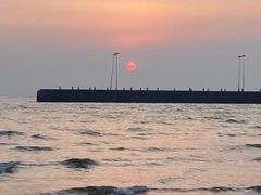 -渡海小渔村.老辈日照菜