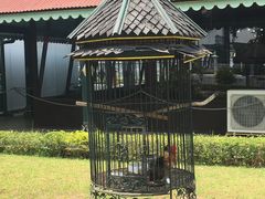 -日惹苏丹皇宫