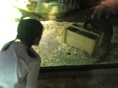 -zoonana室内动物园(东方福来德店)