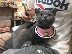 -1013 PET SHOP 宠物商店(近铁城市广场店)
