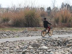 -白鹭湾湿地公园