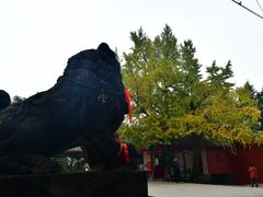 -金堂县云顶石城风景区