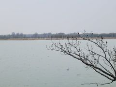 -野鸭湖国家湿地公园