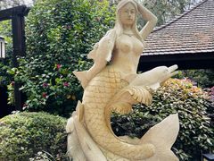 -天目湖涵田半山温泉