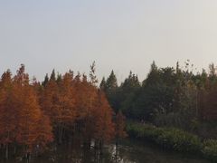 -白鹭湾湿地公园