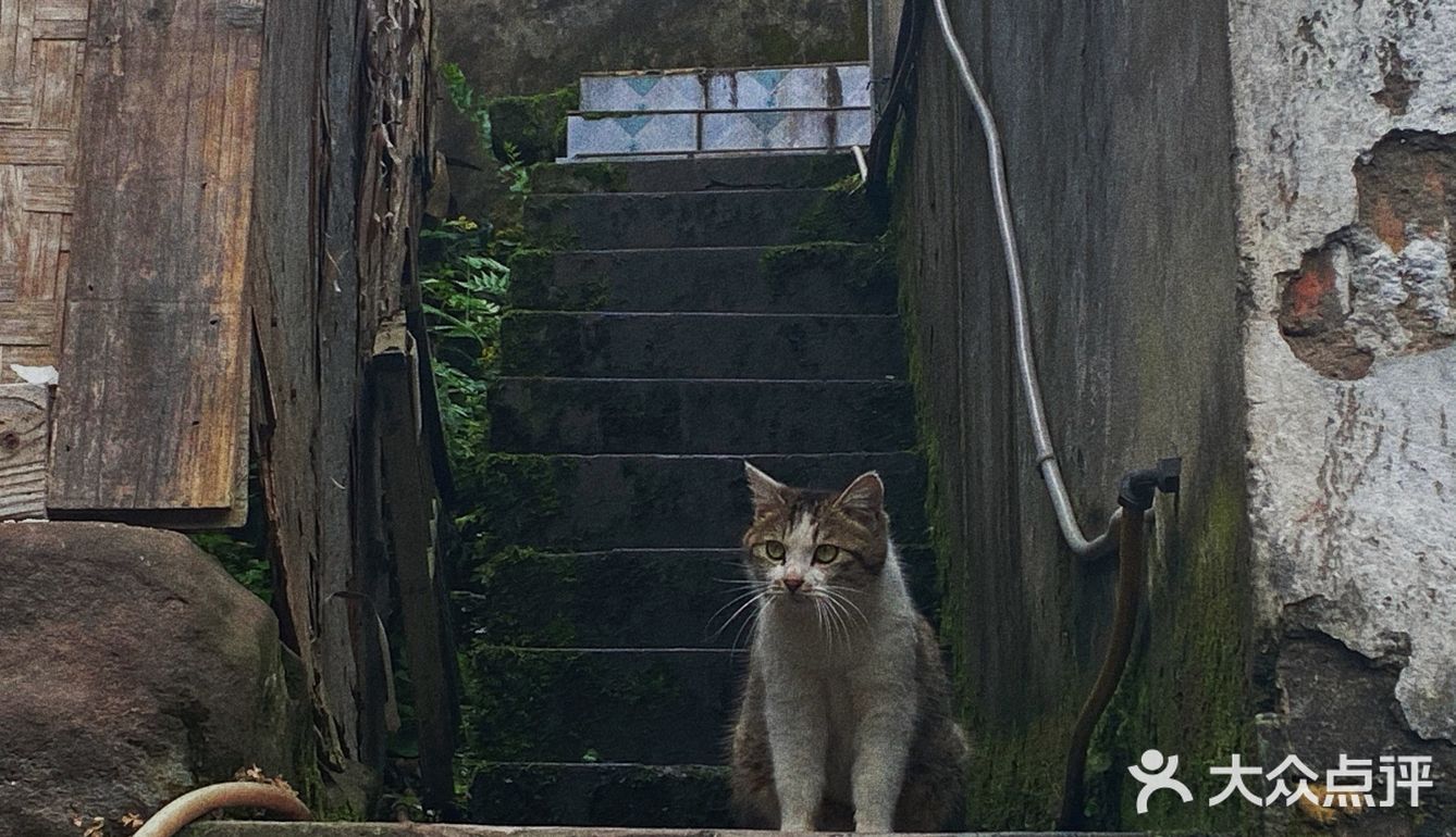 重庆周边游｜和小伙伴一起闯入漫画般的世界