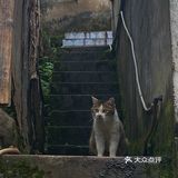 重庆周边游｜和小伙伴一起闯入漫画般的世界