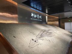 -贵州省地质博物馆