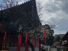 -圆通禅寺