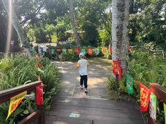 -海南热带野生动植物园