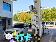 -临沂市三财石化加油站