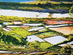 -潇湘楼(环保园店)