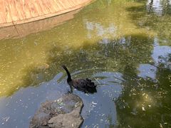 -济南野生动物世界