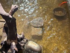 -邈墨茶馆(凤起路店)