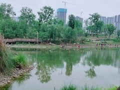 -桂溪生态公园