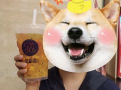 -茶百道(人信汇店)
